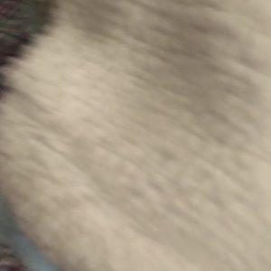 Meet your Posher, Diana